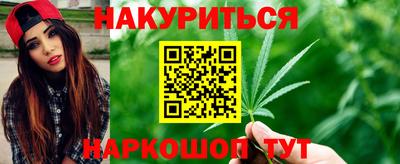 мяу мяу мука Кандалакша