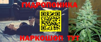 мяу мяу мука Кандалакша