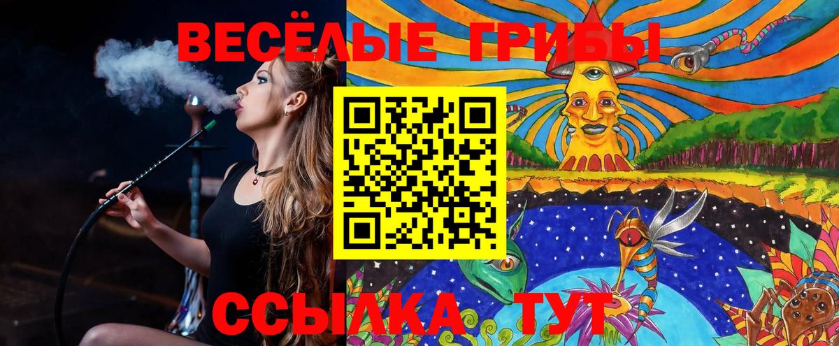 Псилоцибиновые грибы ЛСД  Псилоцибиновые грибы GOLDEN TEACHER  Кольчугино  купить  цена  Вход с VPN 